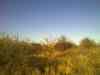 20100424_183332m.jpg - 2010:04:24 18:33:32