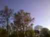 20100424_190050m.jpg - 2010:04:24 19:00:50