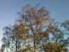 20100424_190101m.jpg - 2010:04:24 19:01:01