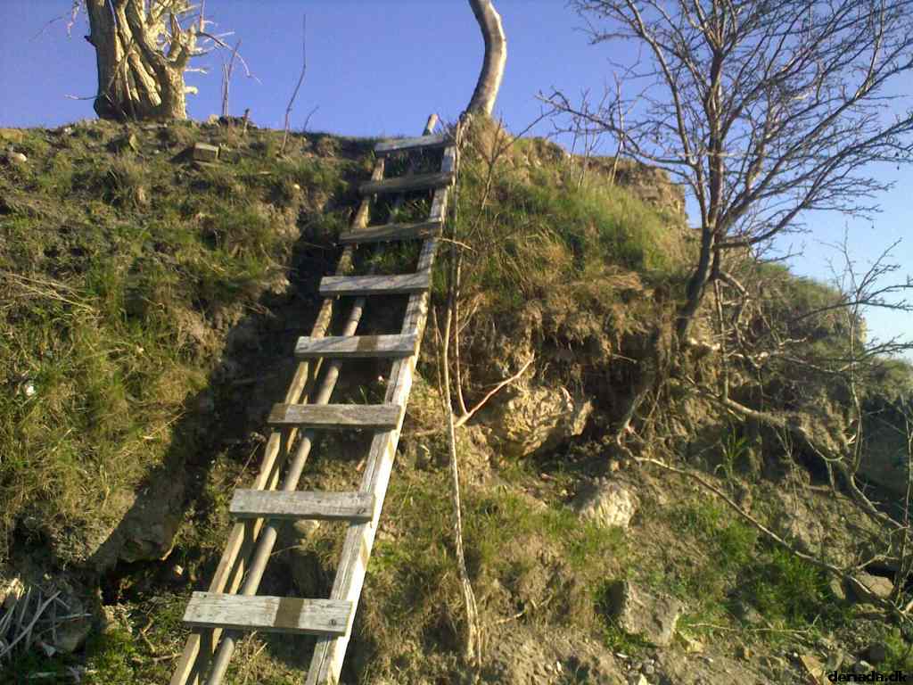 * Image 1