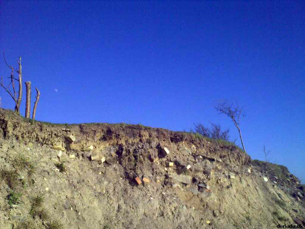 * Image 4
