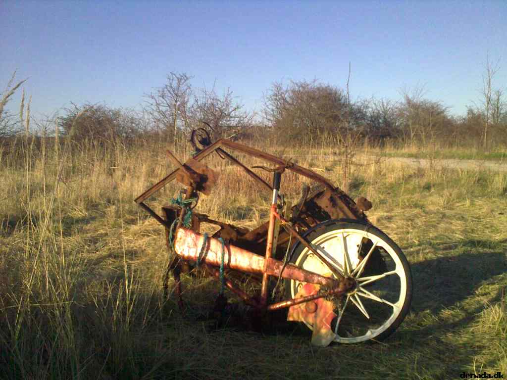 * Image 7