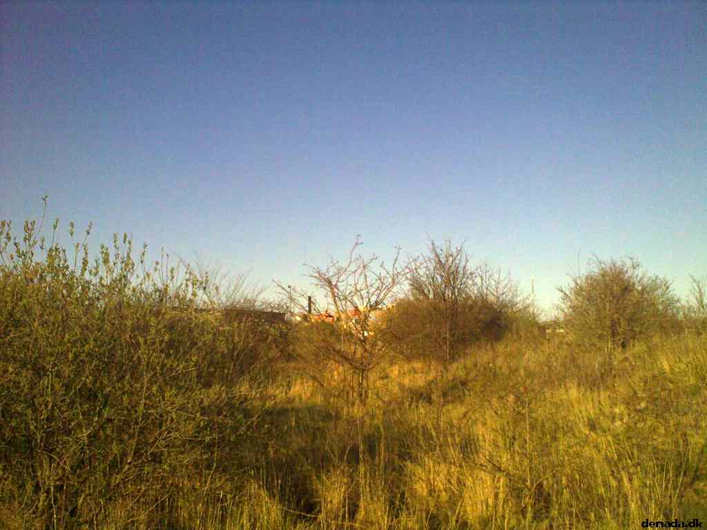 * Image 8