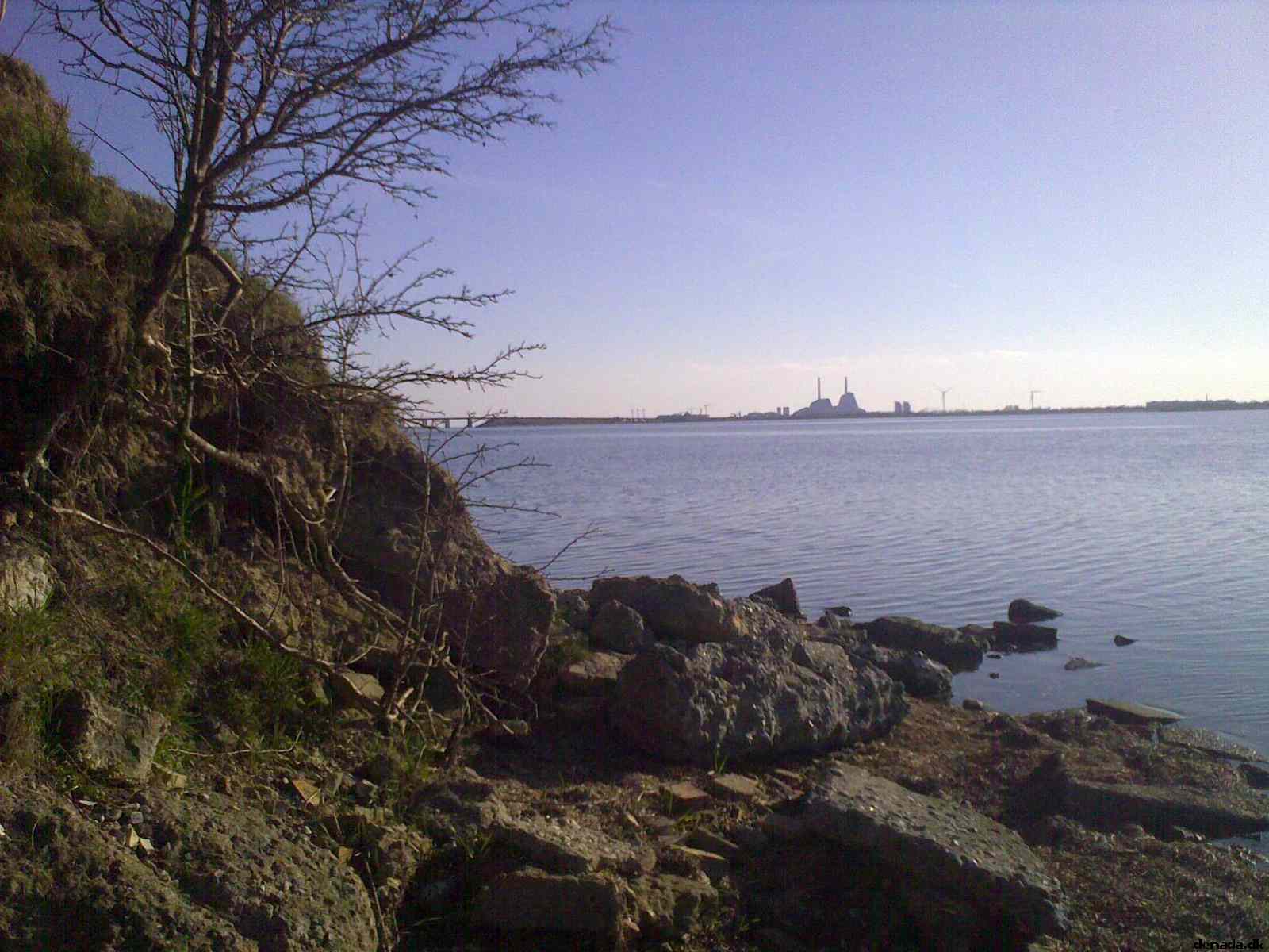 * Image 2