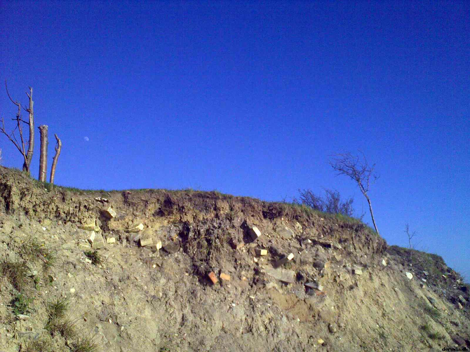 * Image 4