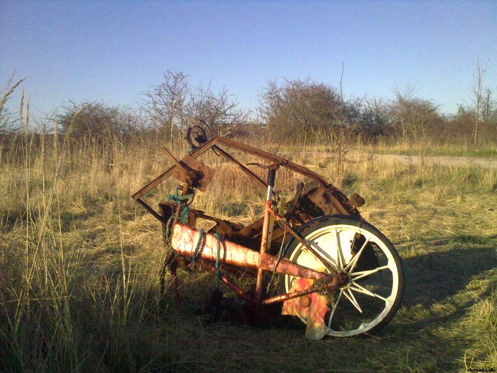 * Image 7