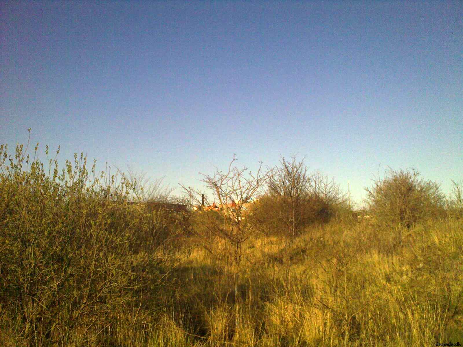 * Image 8