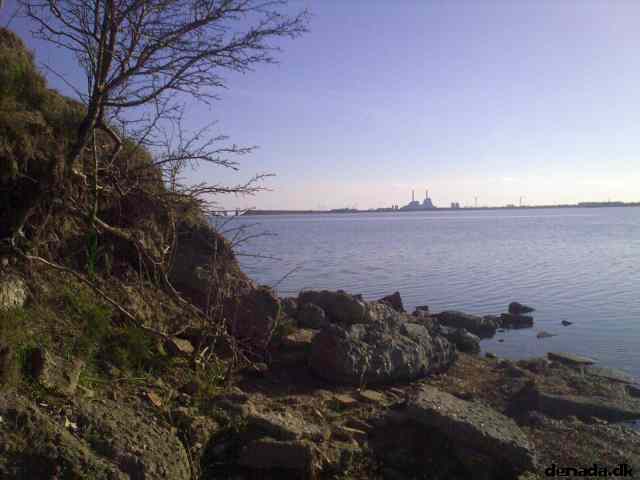* Image 2