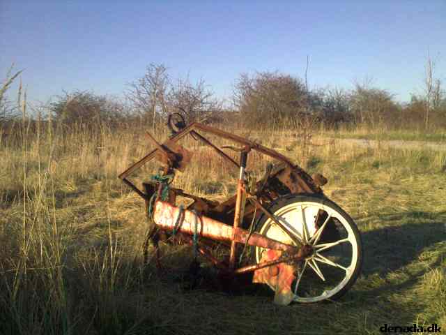 * Image 7