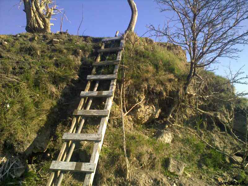 * Image 1