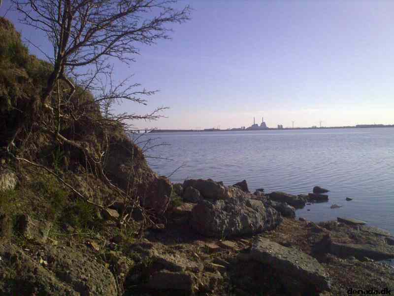* Image 2