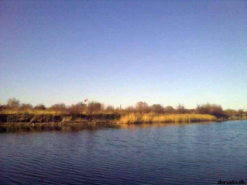 * Image 3
