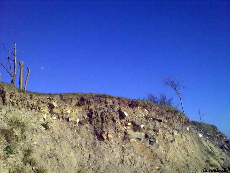 * Image 4