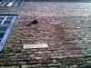 18052010360m.jpg - 2010:05:18 15:39:24