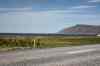 201006040070m.jpg - 2010:06:04 10:03:43
