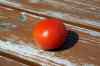 201006040115m.jpg - 2010:06:04 13:47:47
