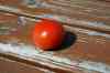 201006040116m.jpg - 2010:06:04 13:48:05