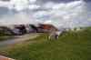 201006040118m.jpg - 2010:06:04 13:48:28