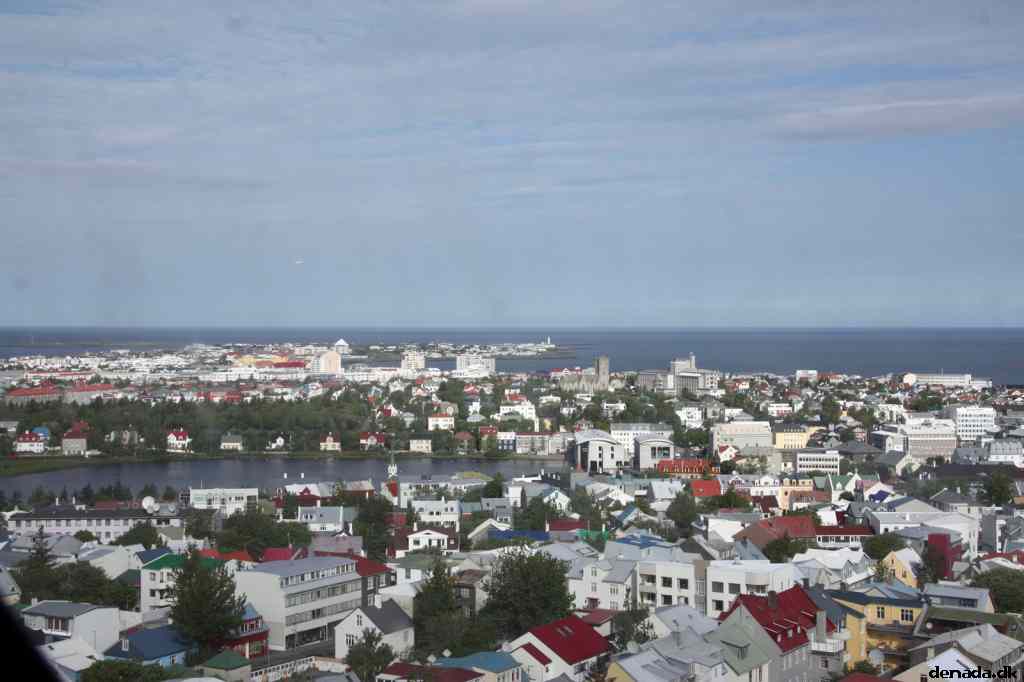 * Image 19