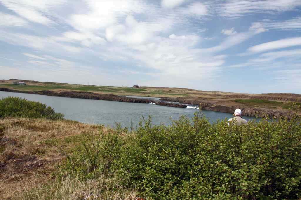 * Image 61
