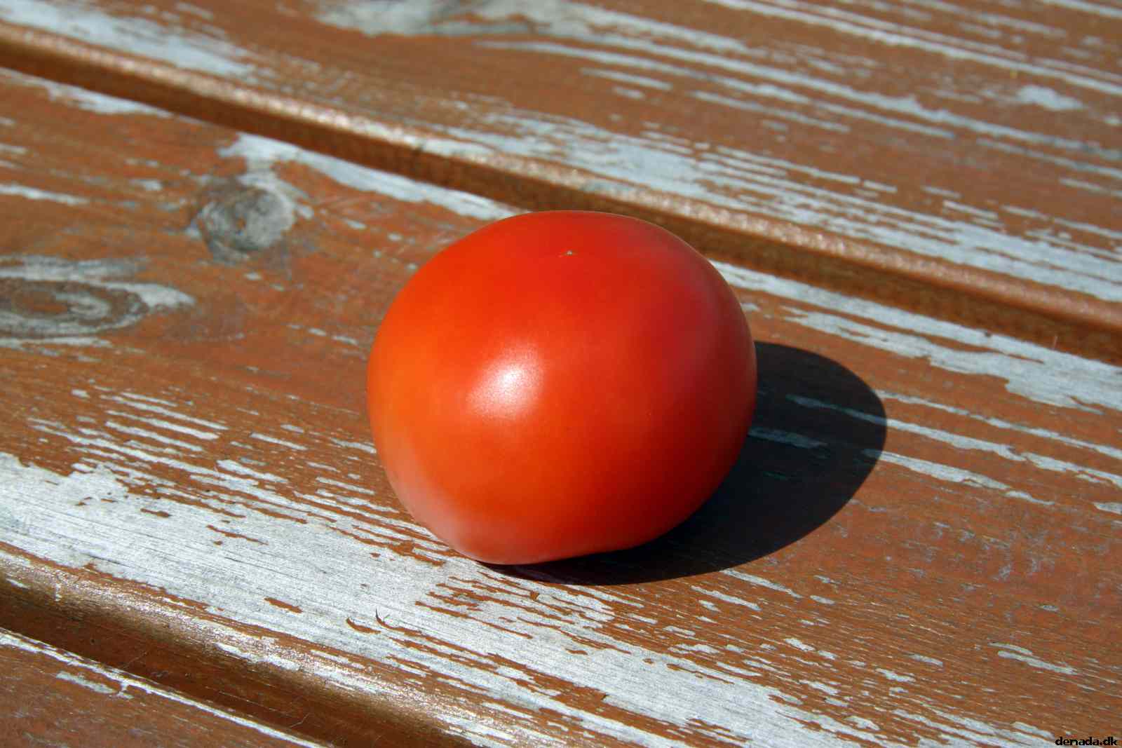 * Image 85