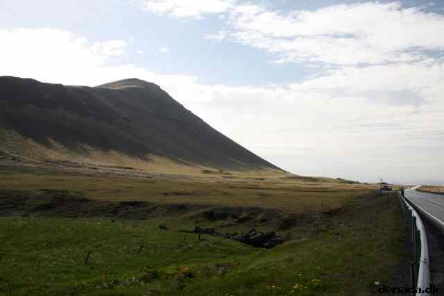 * Image 41