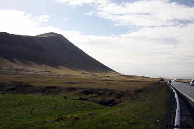 * Image 42