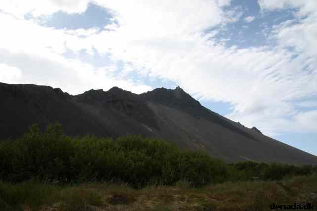 * Image 49