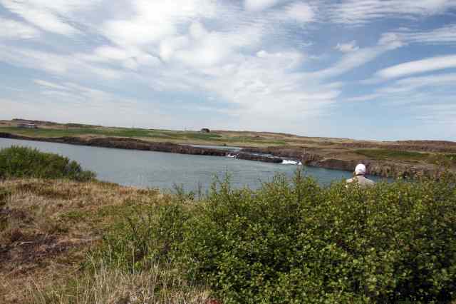 * Image 62