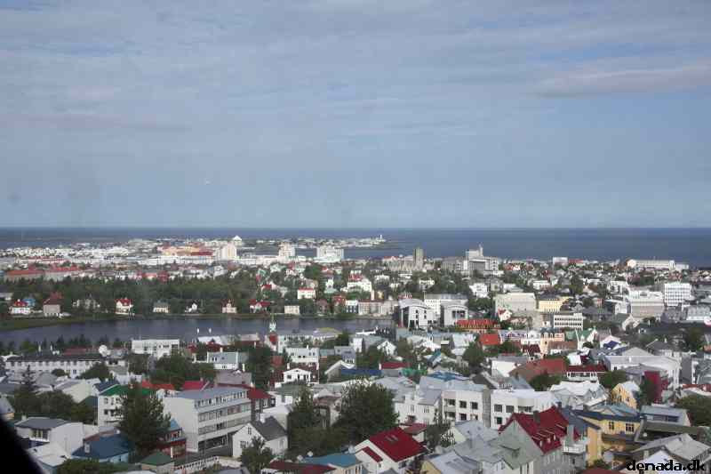 * Image 19