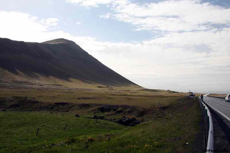 * Image 42