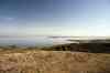 201006050303m.jpg - 2010:06:05 09:43:51