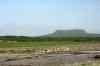201006050315m.jpg - 2010:06:05 10:27:16
