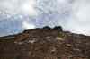 201006050416m.jpg - 2010:06:05 14:33:24