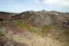 201006050419m.jpg - 2010:06:05 14:35:46