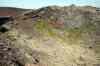 201006050420m.jpg - 2010:06:05 14:35:47