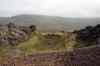 201006050425m.jpg - 2010:06:05 14:38:02