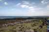 201006050440m.jpg - 2010:06:05 15:22:12