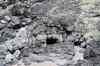 201006050450m.jpg - 2010:06:05 15:43:48