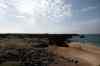 201006050451m.jpg - 2010:06:05 15:43:59