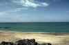 201006050455m.jpg - 2010:06:05 15:44:09