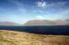 201006050486m.jpg - 2010:06:05 17:10:28