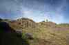 201006050496m.jpg - 2010:06:05 17:46:09