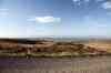 201006050520m.jpg - 2010:06:05 19:54:39