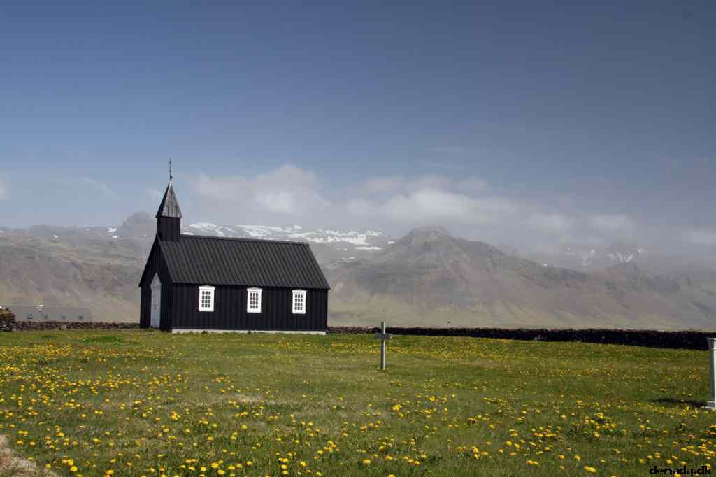 * Image 49