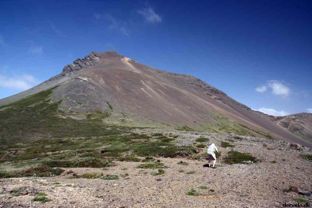 * Image 53