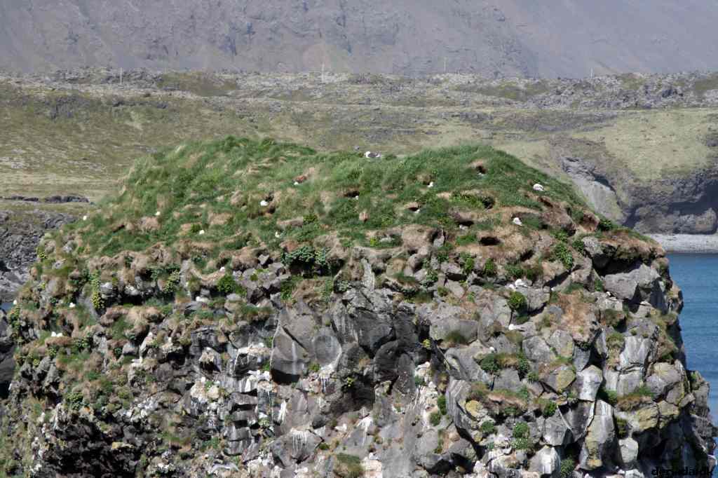 * Image 79