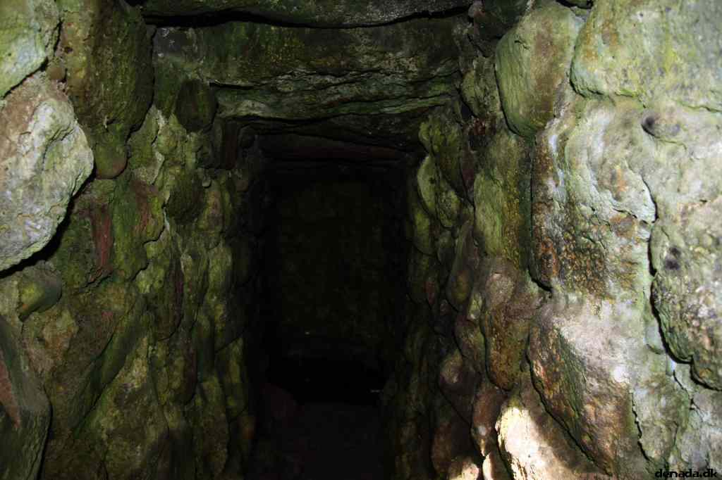 * Image 110