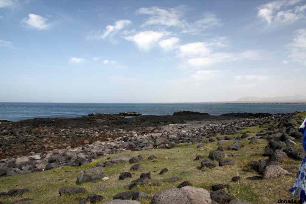 * Image 113