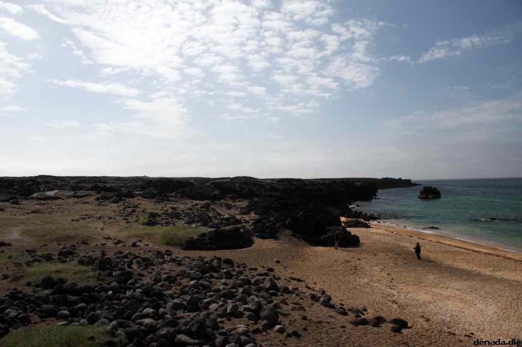 * Image 121